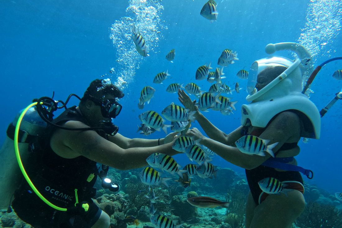 SEAFARI  (SeaTREK Helmet Tour)