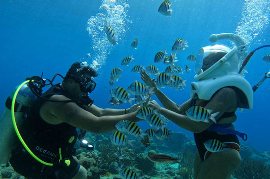 SEAFARI  (SeaTREK Helmet Tour)